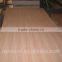 Natural Veneer - Sapele( China )