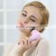 Hot Sale Ultrasonic Vibrating Rechargeable Electric Facial Cleansing Brush