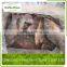 Skinless Iqf Tilapia Fillet Fish For Sale
