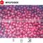 IQF price of frozen cranberry 2015 best price