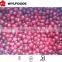 IQF price of frozen cranberry grade A