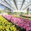Decorative greenhouse