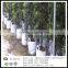 Gardening Use PP Non woven Fabric