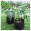 Nonwoven Fabric Raised Bed for Flowers (1 Gal to 1200 Gal) OEM Smart Pots