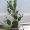 Fake artificial plastic cactus ball