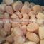 The Price of Different Kind Scallop Frozen IQF Bay Scallop for Sale