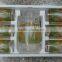JK035 7pcs Glass Drinking Set with deco