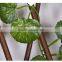 210cm Artificial Vines for Decoration