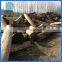 Paulownia wood price / Solid wood