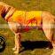 new product night safety reflective dog rain coat in stock