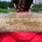 YR866 Detachable Collar for Coat with Elastic Taps/Detachable Fur Collars