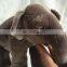 modicate delicate plush grey elephant animal toy