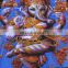 Indian Hindu Gods & Ganesha DIVINE Hindu God Deity T shirt Psychedelic Unisex wear Hippie Dj Art T - Shirt shirt M / L / Xl