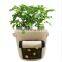 2020 hot sale 5 Gallon 7Gallon 10Gallon Felt Potato Planter Grow Bag