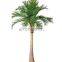 Artificial Coconut Palm Tree For Decoration