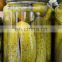 Gherkin Best price High quality/Best Canned Food Pickled Cucumber from Vietnam