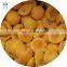 High quality New crop high quality IQF apricot half