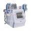 expo 2022 360 degree fat removal cryolipolyse home criolipolyse fat reducing waist trimmer top ranking criolipolisys machine