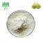 pure garcinia cambogia extract with  HCA 50% and 60%