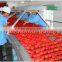 Ligne de production de concentré de tomate frais / confiture de tomate / ketchup Cold Crush en vente