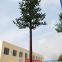 High Quality Bionic Tree Telecom Tower with Accessories and Brackets