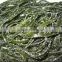High Quality Salted Seaweed Frozen Kelp Laminaria Salad for sale