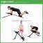 As Seen On TV Most Popular New Ab Trainer 5 Minutes Shaper