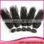 Double drawn virgin brazilian hair deep wave virgin brazilian hair brazilian virgin hair extension