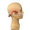 Bone Conduction Sport Wireless Waterproof Bluetooth Microphone Headphone
