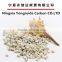 Water purification stone filter material