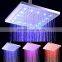 LED Rainfall Shower Head SDH-C7