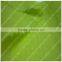 Waterproof Nylon Taffeta Fabric