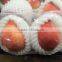 100 % PE New material fruit foam package net