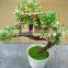 Mini artificial succulent potted bonsai for office and home decor