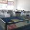 Changzhou Aiemery Agri-Machinery Co., Ltd.