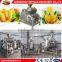 High capacity fruit pulp squeezing machine on promotion