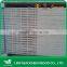 Pine LVL, WBP Phenolic Glue, Construction Use