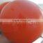 Evergreen Marine Floating Buoys
