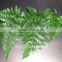 High Quality Leaf Fern Import From China Fresh Cut Tropical Foliage