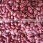 2014 new crop Cheap small peanuts round type