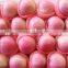 Chinese Fresh Qinguan apple in cold storage wholesale grade A fruit apples