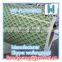 prepainted flower pattern coating ppgi in steel coil for metal box