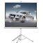Fast Foldable Screen/300 inch Portable Projector Screen/Mobile Fast Folding Screen,China Manufacturer