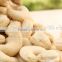Vietnamese Nuts Cashew kernel WW240/Noix de cajou (emma@hanfimex.com)