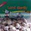 2015 Crop Garlic