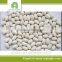 export agriculture product white kidney beans
