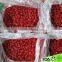 dried cherries