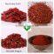 Hot Taste Red Chilli Powder
