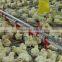 Goldenest patent automatic breeder pan feeder plastic chicken feed trough