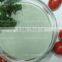Natural Green Zeolite Granular For Agriculture